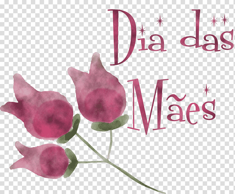 Feliz Dia das Mães Mother's Day, Christ The King, St Andrews Day, St Nicholas Day, Watch Night, Thaipusam, Tu Bishvat transparent background PNG clipart