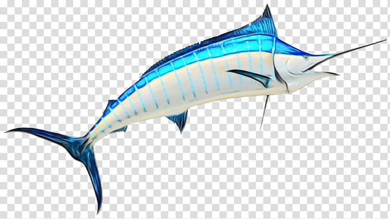 swordfish marlin yellowfin tuna albacore bigeye tuna, Watercolor, Paint, Wet Ink, Atlantic Bluefin Tuna, Striped Marlin, Billfish, Seafood transparent background PNG clipart
