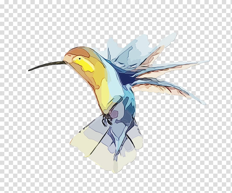 Feather, Watercolor, Paint, Wet Ink, Hummingbirds, Rubythroated Hummingbird, Beak, Hornbill transparent background PNG clipart