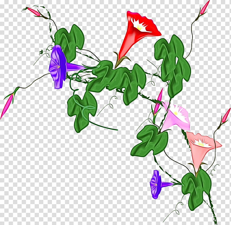Floral design, Morning Glory, Summer Flower, Watercolor, Paint, Wet Ink, Plant Stem, Leaf transparent background PNG clipart