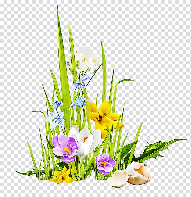 spring, Spring
, Flower, Plant, Flowerpot, Cut Flowers, Ikebana, Crocus transparent background PNG clipart