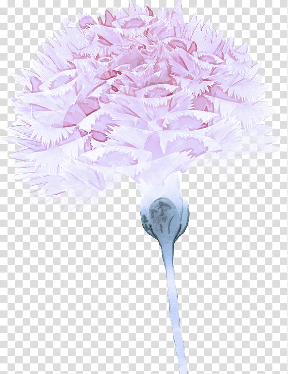 pink flower lilac cut flowers purple, Plant, Hydrangea, Hydrangeaceae, Cornales, Bouquet transparent background PNG clipart