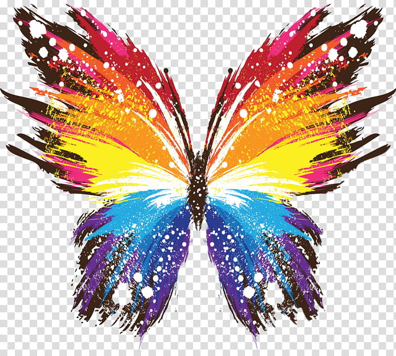 Feather, Butterfly, Wing, Moths And Butterflies, Insect, Pollinator, Mardi Gras, Symmetry transparent background PNG clipart