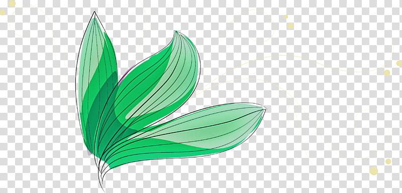 Palm trees, Leaf, Plant Stem, Flower, Petal, Dumb Canes, Monstera, Vascular Plant transparent background PNG clipart