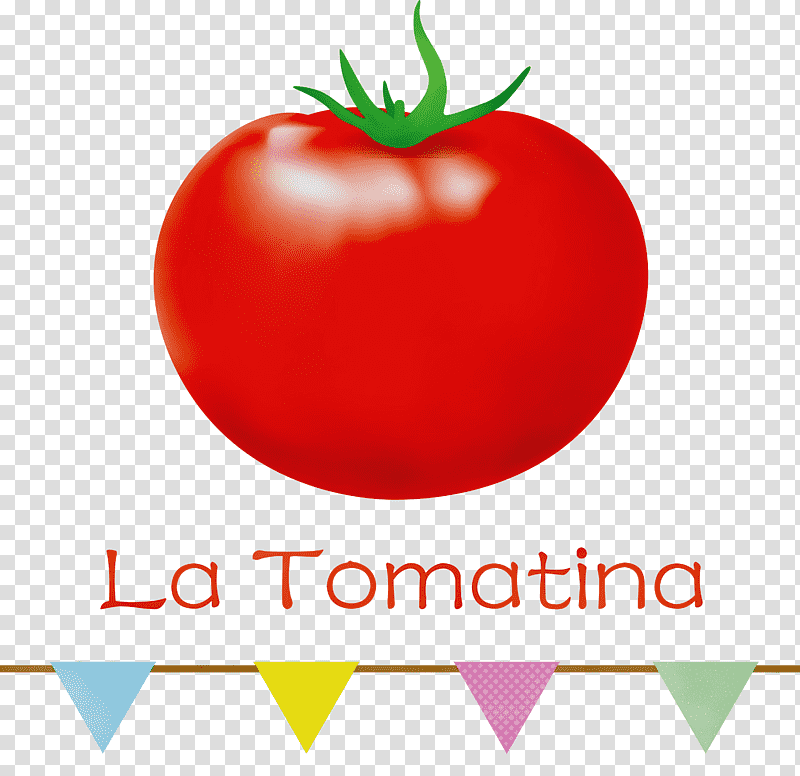 Tomato, La Tomatina, Watercolor, Paint, Wet Ink, Natural Food, Superfood transparent background PNG clipart