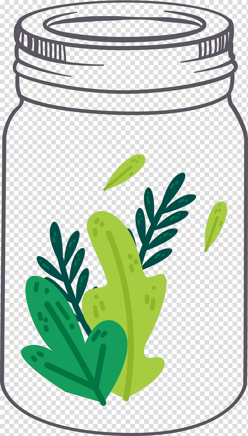 MASON JAR, Leaf, Flower, Green, Tree, Grasses, Plants transparent background PNG clipart