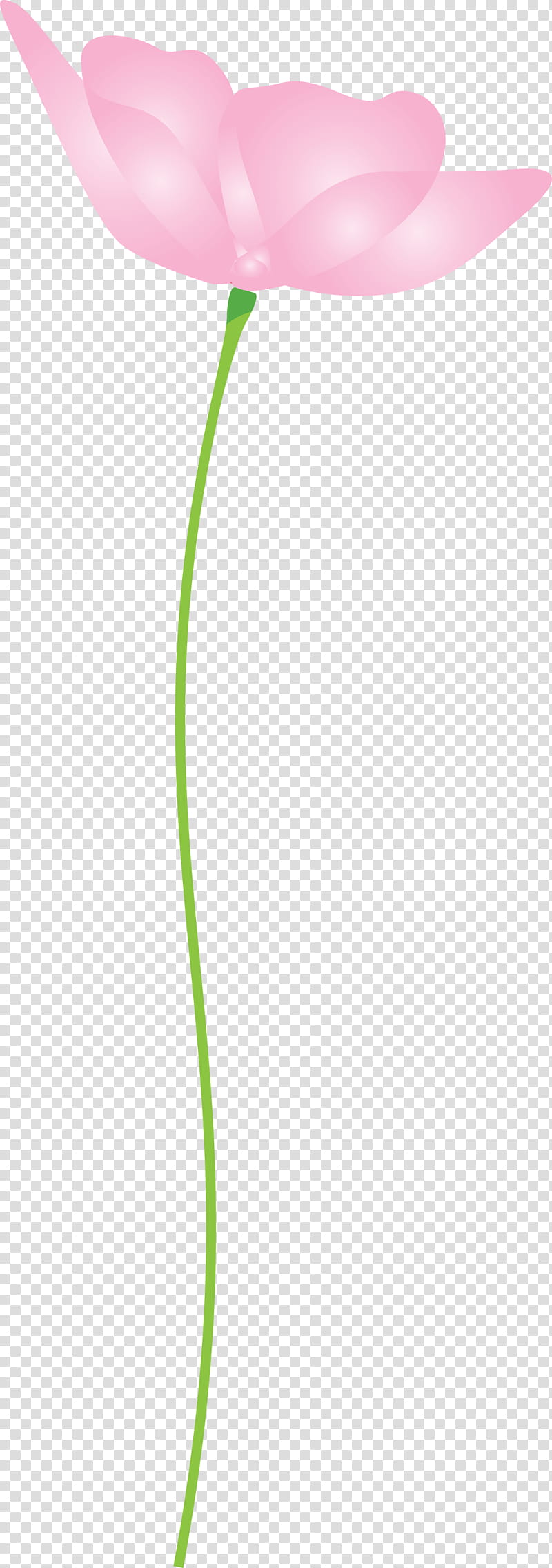 poppy flower, Green, Leaf, Line, Grass Family, Plant, Plant Stem transparent background PNG clipart