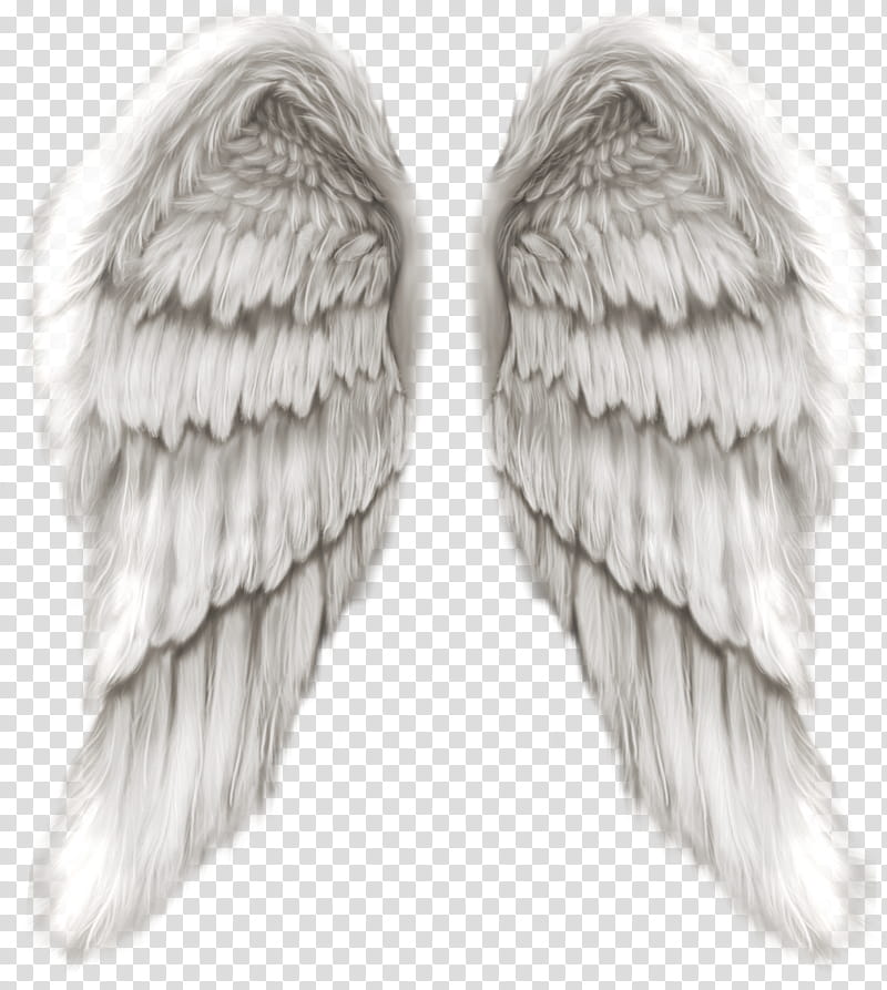 Angel, Child, Son, Heaven, Daughter, Boy, Love, Person transparent background PNG clipart