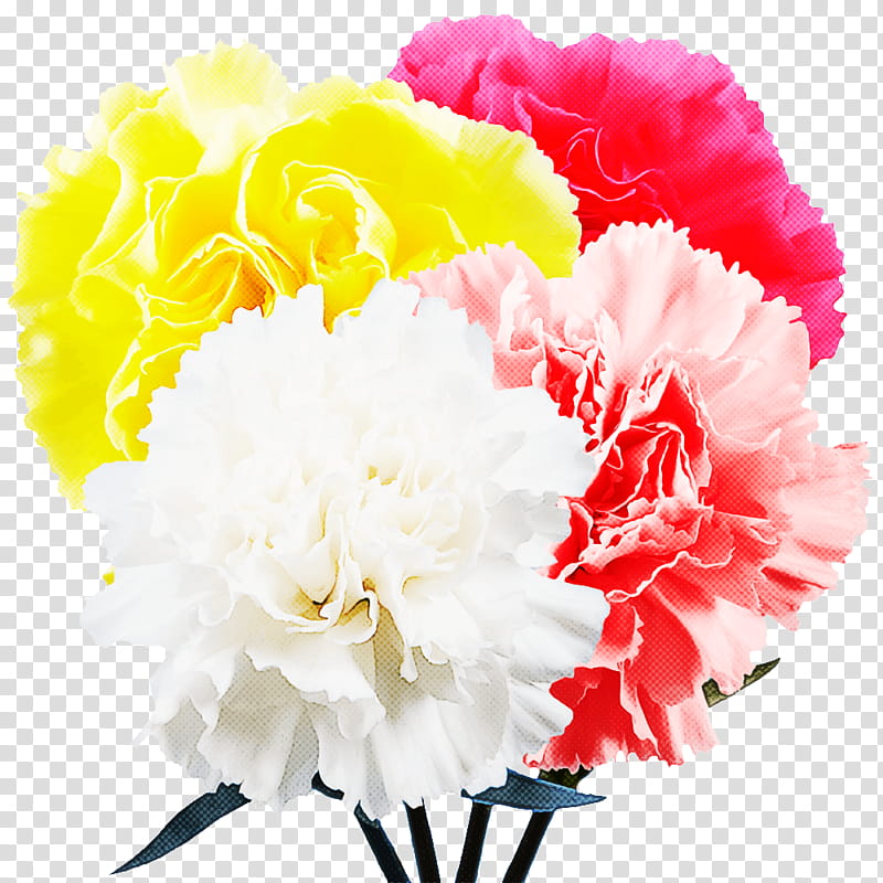 Floral design, Carnation, Cut Flowers, Flower Bouquet, Petal, Artificial Flower, Peony, Rose transparent background PNG clipart