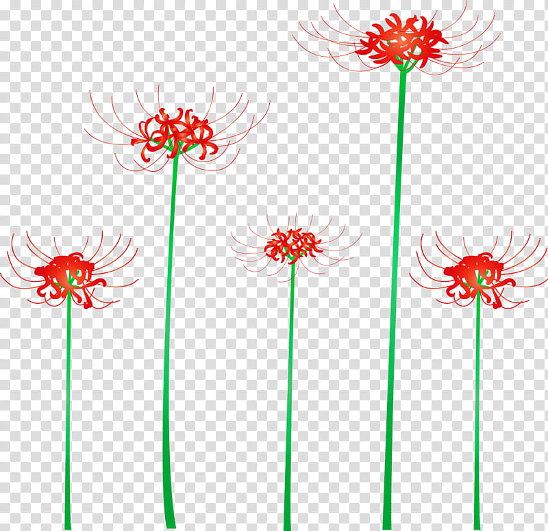 Hurricane Lily flower, Plant, Pedicel, Line, Gerbera, Cut Flowers, Plant Stem, Wildflower transparent background PNG clipart