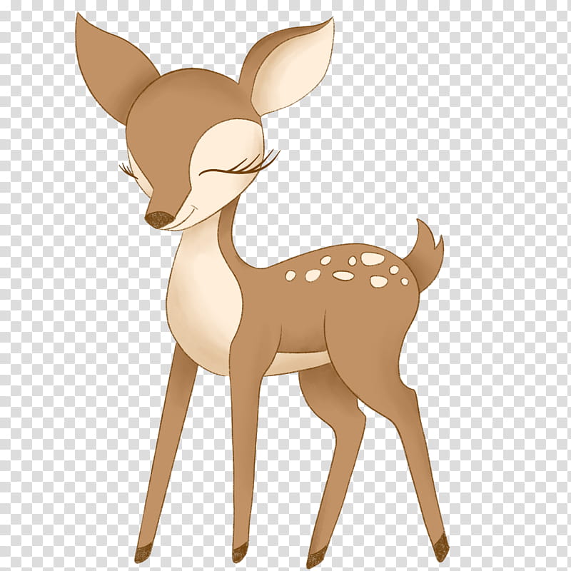 Reindeer, Fawn, Animal Figure, Roe Deer, Tail, Wildlife transparent background PNG clipart