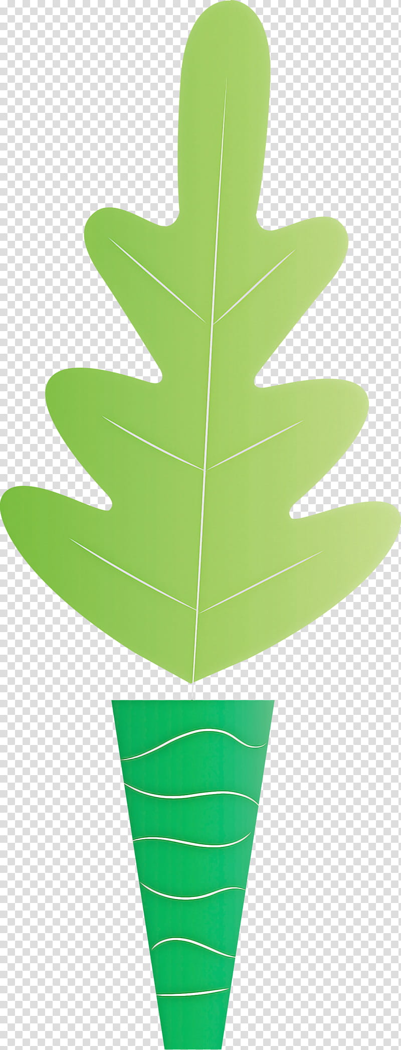 leaf plant stem geometry line leaf angle distribution, Circle, , Shape, Green, Petal, Plant Structure, Plants transparent background PNG clipart