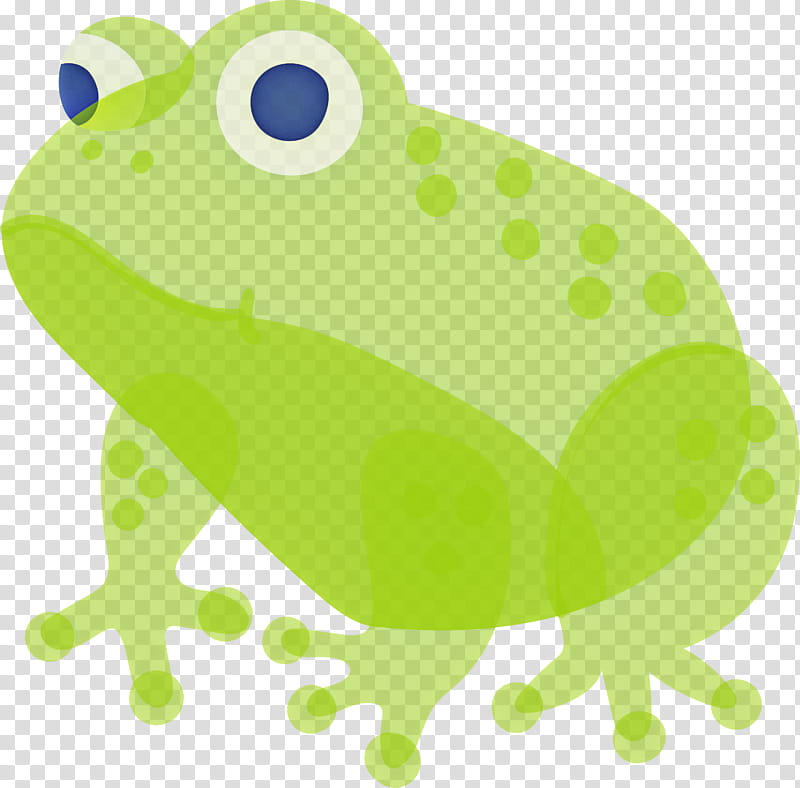 Frog, True Frog, Green, Toad, Hyla, Bullfrog, Tree Frog, Bufo transparent background PNG clipart
