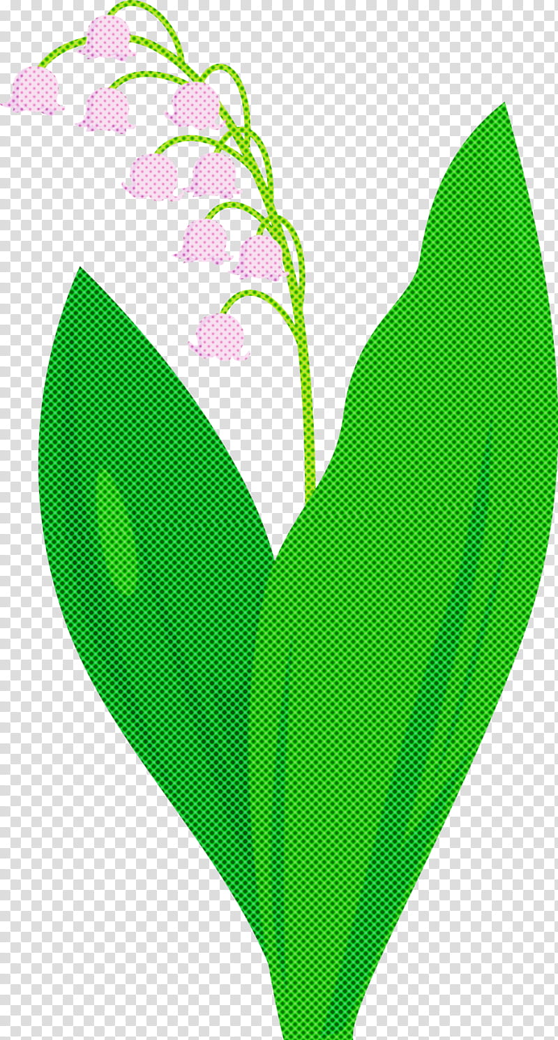 Lily Bell flower, Green, Leaf, Heart, Plant, Lily Of The Valley, Petal, Grass transparent background PNG clipart