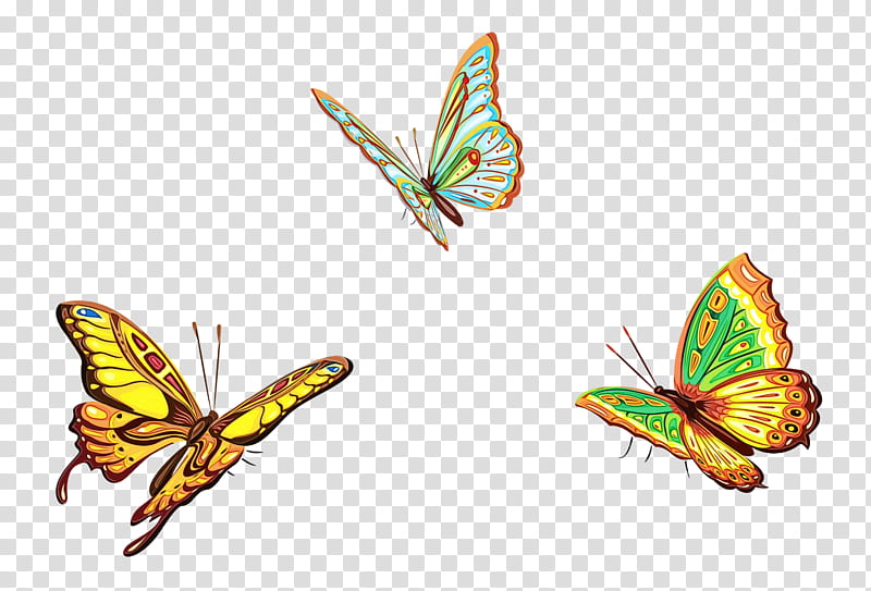 butterfly insect moths and butterflies pollinator wing, Watercolor, Paint, Wet Ink, Riodinidae, Brushfooted Butterfly, Lycaenid, Symmetry transparent background PNG clipart