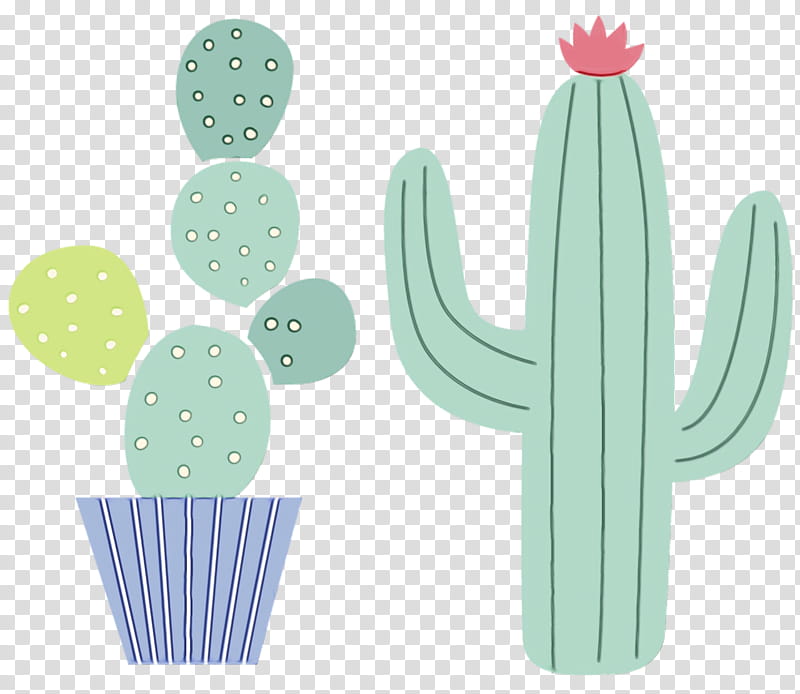 meter citroën cactus m flower cartoon pattern, Watercolor, Paint, Wet Ink, Caryophyllales, Microsoft Azure, Turquoise transparent background PNG clipart