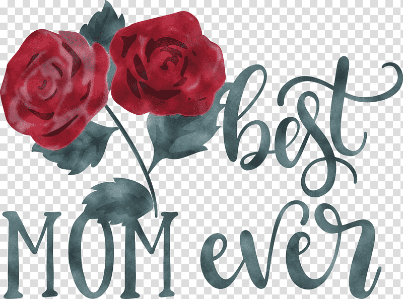 Mothers Day best mom ever Mothers Day Quote, Floral Design, Garden Roses, Cut Flowers, Rose Family, Petal, Valentines Day transparent background PNG clipart