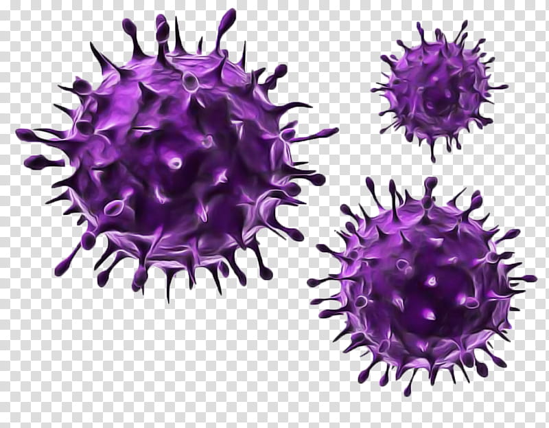 virus herpes simplex virus flu coronavirus health, Infection, Avian Influenza, Oncolytic Virus, Bacteria, Virotherapy, Immunity transparent background PNG clipart