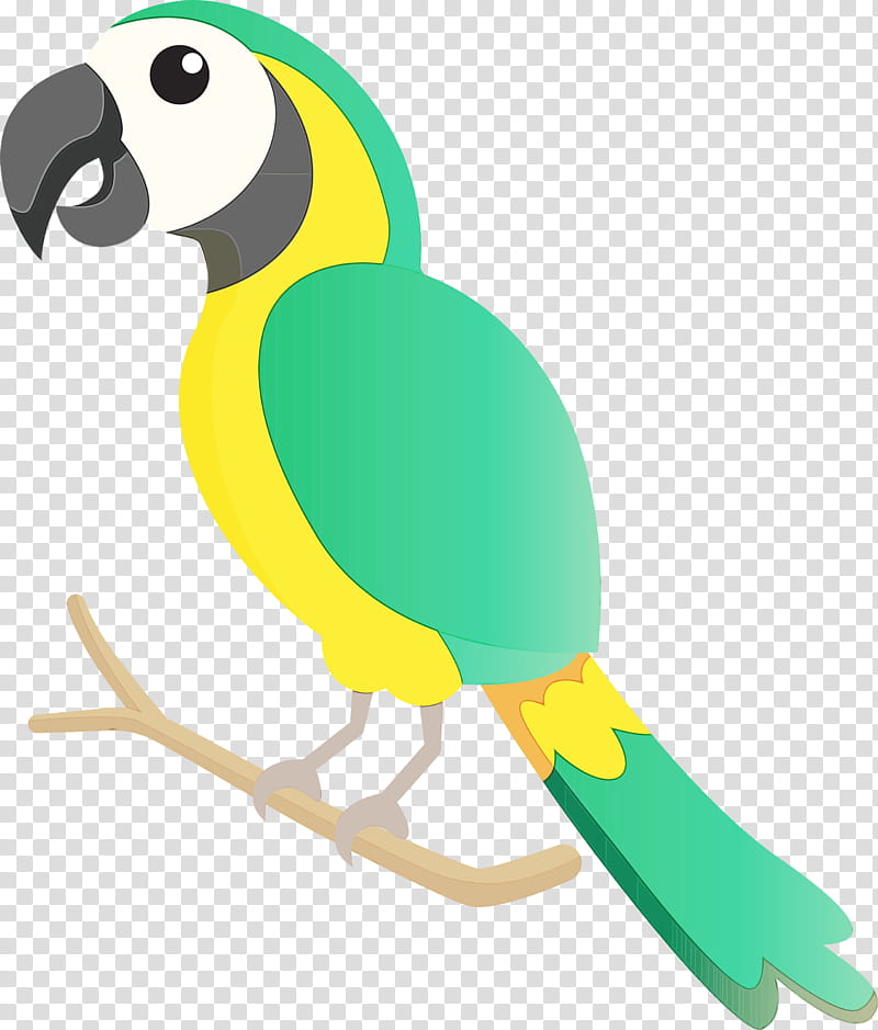 macaw parrots beak, Bird Cartoon, Cute Bird, Watercolor, Paint, Wet Ink transparent background PNG clipart