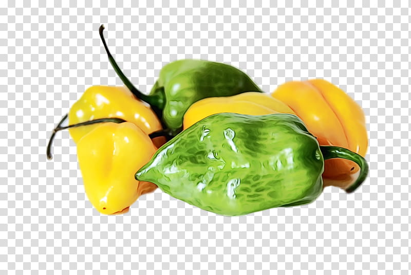 habanero poblano capsicum annuum var. acuminatum pasilla jalapeño, Watercolor, Paint, Wet Ink, Capsicum Annuum Var Acuminatum, Cayenne Pepper, Yellow Pepper, Bell Pepper transparent background PNG clipart