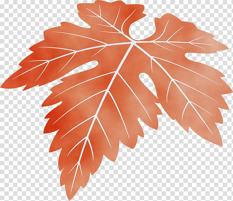 Maple leaf, Grapes Leaf, Watercolor, Paint, Wet Ink, Tree, Plant, Grape Leaves transparent background PNG clipart