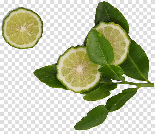 Lemon, Lime, Key Lime, Persian Lime, Kaffir Lime, Lemonlime Drink, Dandruff, Shampoo transparent background PNG clipart