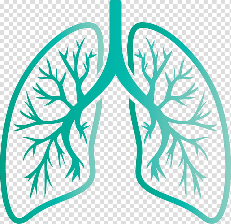 lungs COVID Corona Virus Disease, Leaf, Green, Turquoise, Plant transparent background PNG clipart