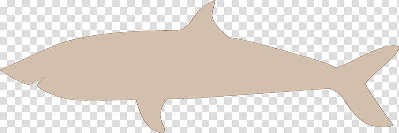 Shark, Cetaceans, Porpoise, Snout, Whales, Cartoon, Tail, Dolphin transparent background PNG clipart