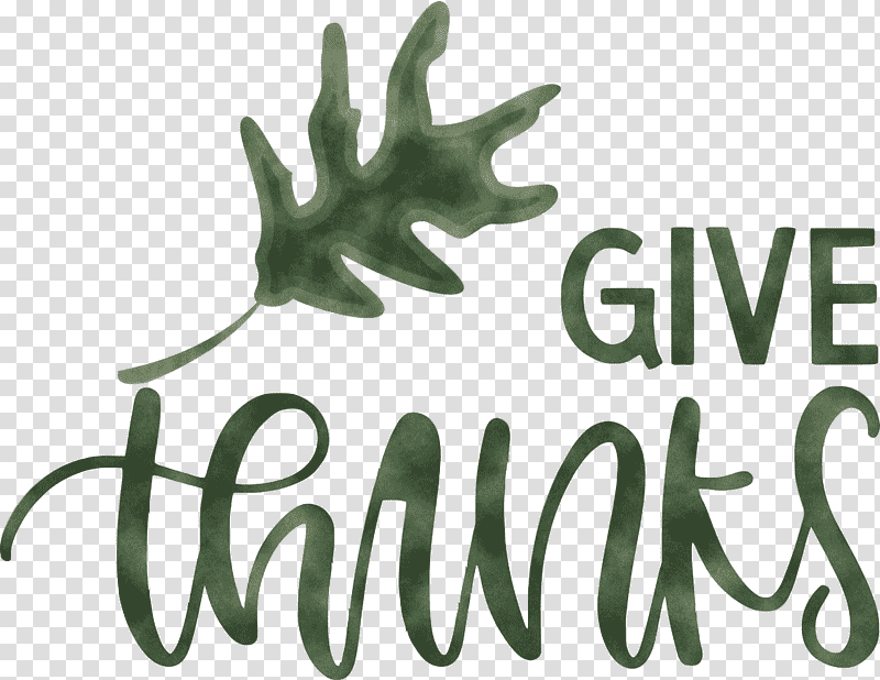 Thanksgiving Be Thankful Give Thanks, Leaf, Logo, Tree, Meter, Plants, Plant Structure transparent background PNG clipart