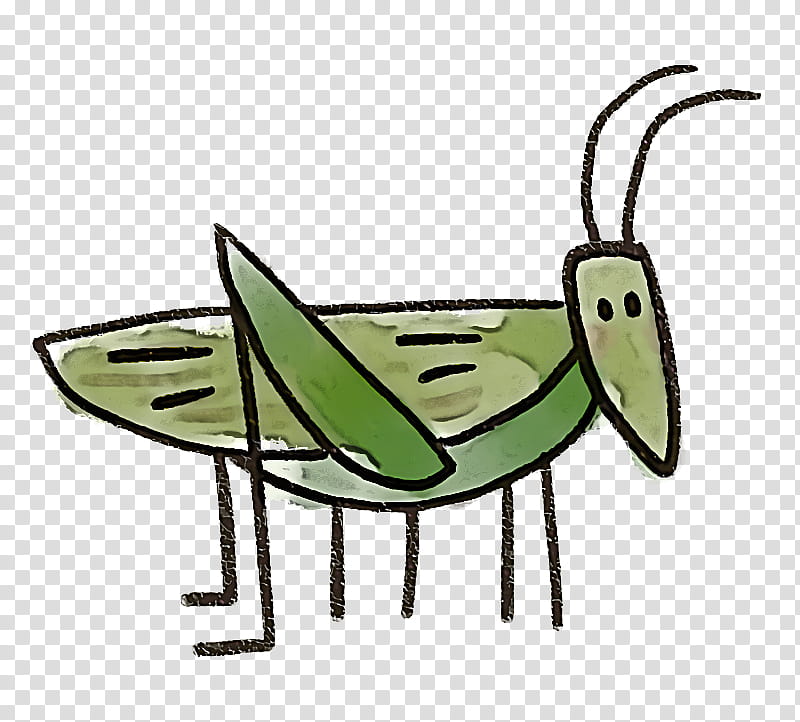 insect grasshopper transparent background PNG clipart