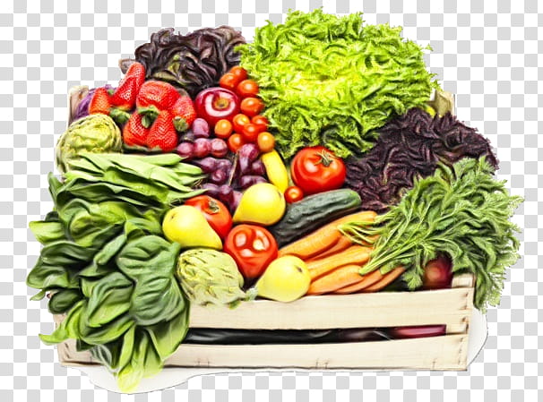 Salad, Watercolor, Paint, Wet Ink, Natural Foods, Vegetable, Vegan Nutrition, Superfood transparent background PNG clipart