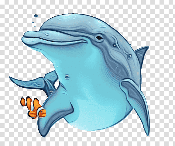 wholphin short-beaked common dolphin rough-toothed dolphin dolphin cetaceans, Watercolor, Paint, Wet Ink, Shortbeaked Common Dolphin, Roughtoothed Dolphin, Longbeaked Common Dolphin transparent background PNG clipart
