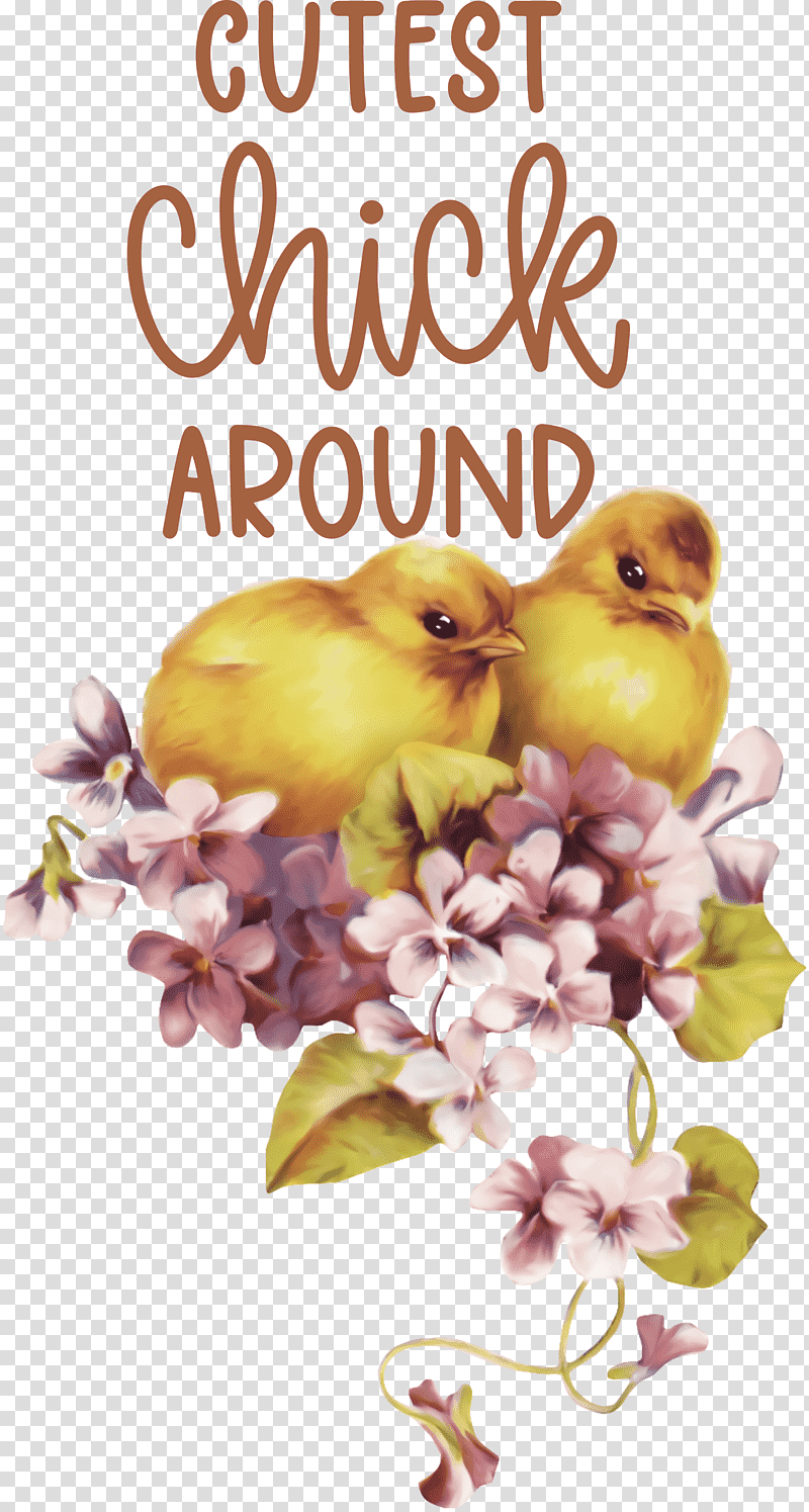 Happy Easter Easter Day Cutest Chick Around, Easter Bunny, Easter Egg, Easter Postcard, Red Easter Egg, Holiday, Chicken transparent background PNG clipart