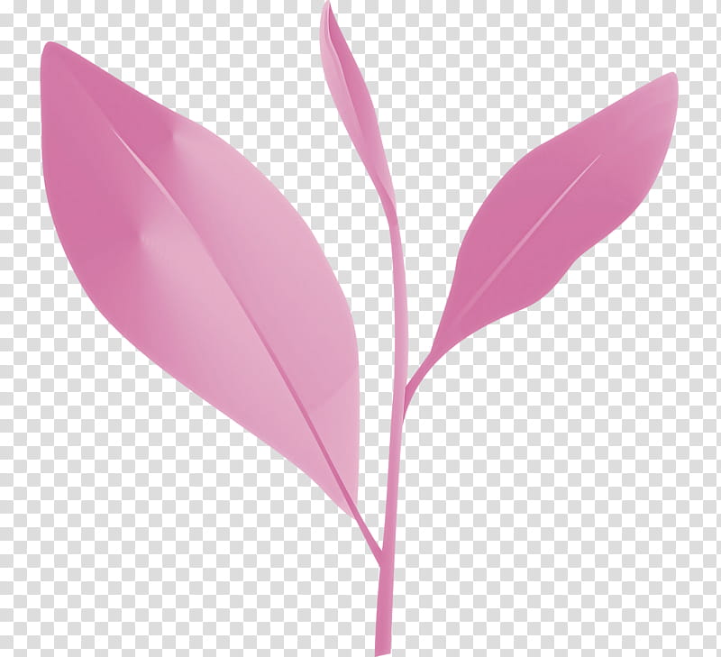 tea leaves leaf spring, Spring
, Pink, Flower, Plant, Pedicel, Magenta, Petal transparent background PNG clipart