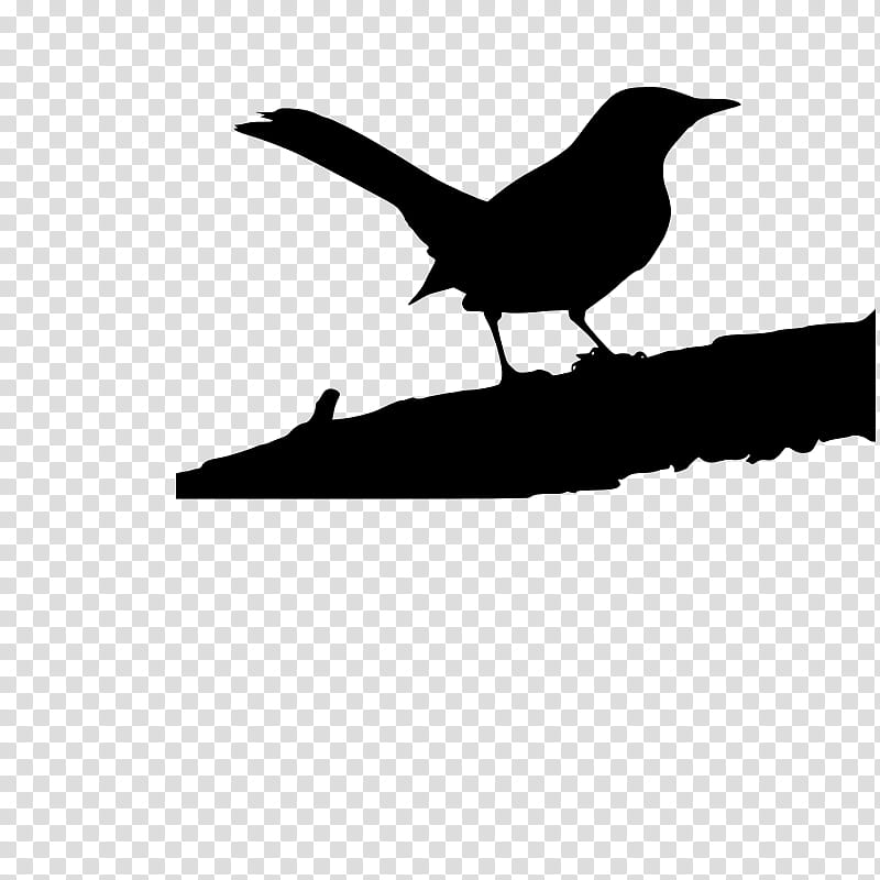 Bird Tattoo, Beak, Microsoft PowerPoint, Presentation, Silhouette, Report, Project, Black M transparent background PNG clipart