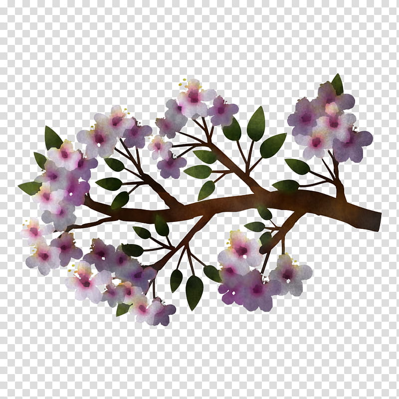 spring, Spring
, Flower, Plant, Lilac, Branch, Blossom, Tree transparent background PNG clipart