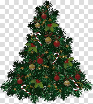 Christmas tree, Christmas Decoration, Colorado Spruce, Oregon Pine, Christmas Ornament, Yellow Fir, White Pine, Christmas 
 transparent background PNG clipart thumbnail