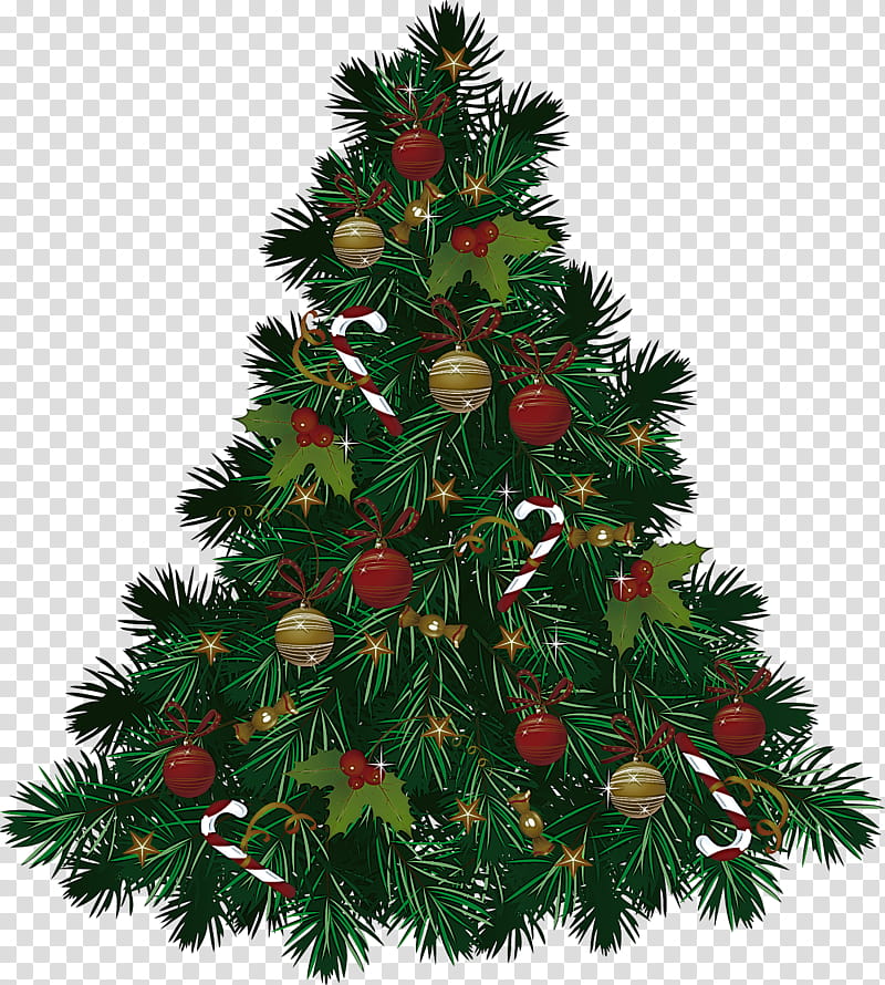 Christmas tree, Christmas Decoration, Colorado Spruce, Oregon Pine, Christmas Ornament, Yellow Fir, White Pine, Christmas transparent background PNG clipart Christmas tree, Christmas Decoration, Colorado Spruce, Oregon Pine, Christmas Ornament, Yellow Fir, White Pine, Christmas transparent background PNG clipart