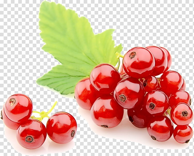 Fruit, Redcurrant, Blackcurrant, Zante Currant, Berries, Berry, Food, Gooseberry transparent background PNG clipart