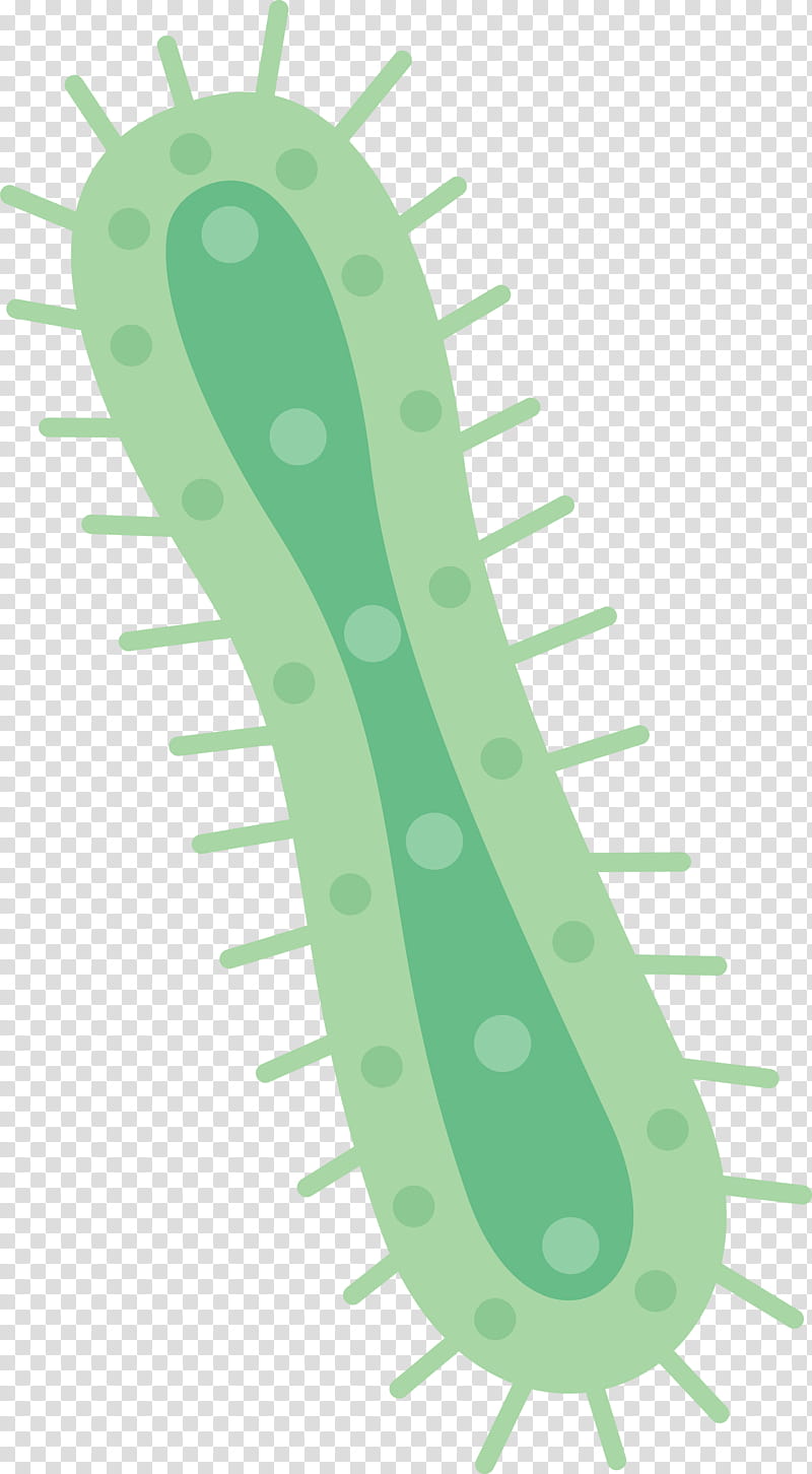 virus, Green, Plant, Cucumber, Grass, Cucumis, Legume transparent background PNG clipart