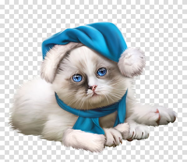 cat puppy ragdoll small to medium-sized cats kitten, Small To Mediumsized Cats, Fur, Persian, Headgear, Shih Tzu, Lhasa Apso transparent background PNG clipart