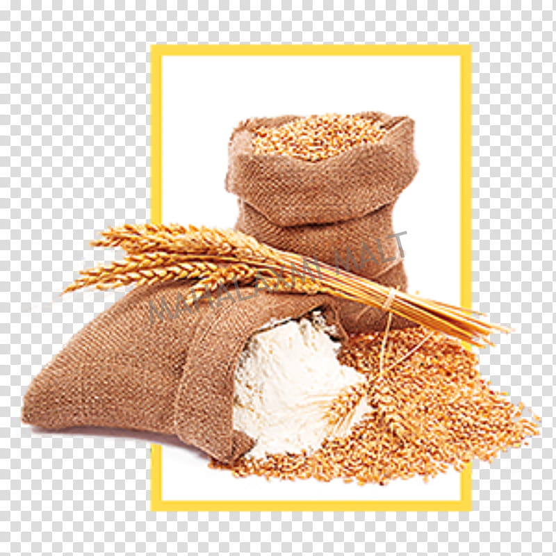 Wheat, Wheat Flour, Grass Family, Food, Powder, Gluten, Whole Grain, Cuisine transparent background PNG clipart