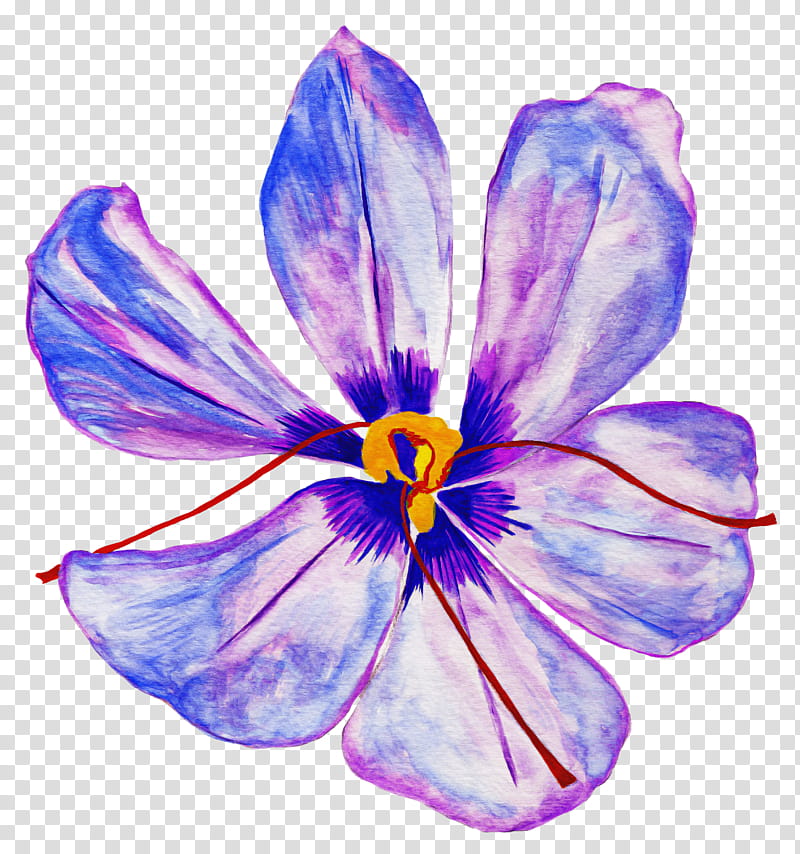 plants crocus saffron crocus crocus vernus autumn crocus annual plant, Herbaceous Plant, Irises, Flower, Wild Pansy, Violet transparent background PNG clipart