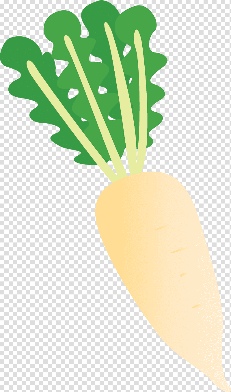 radish, Leaf, Plant Stem, Vegetable, Tree, Fruit, Meter transparent background PNG clipart