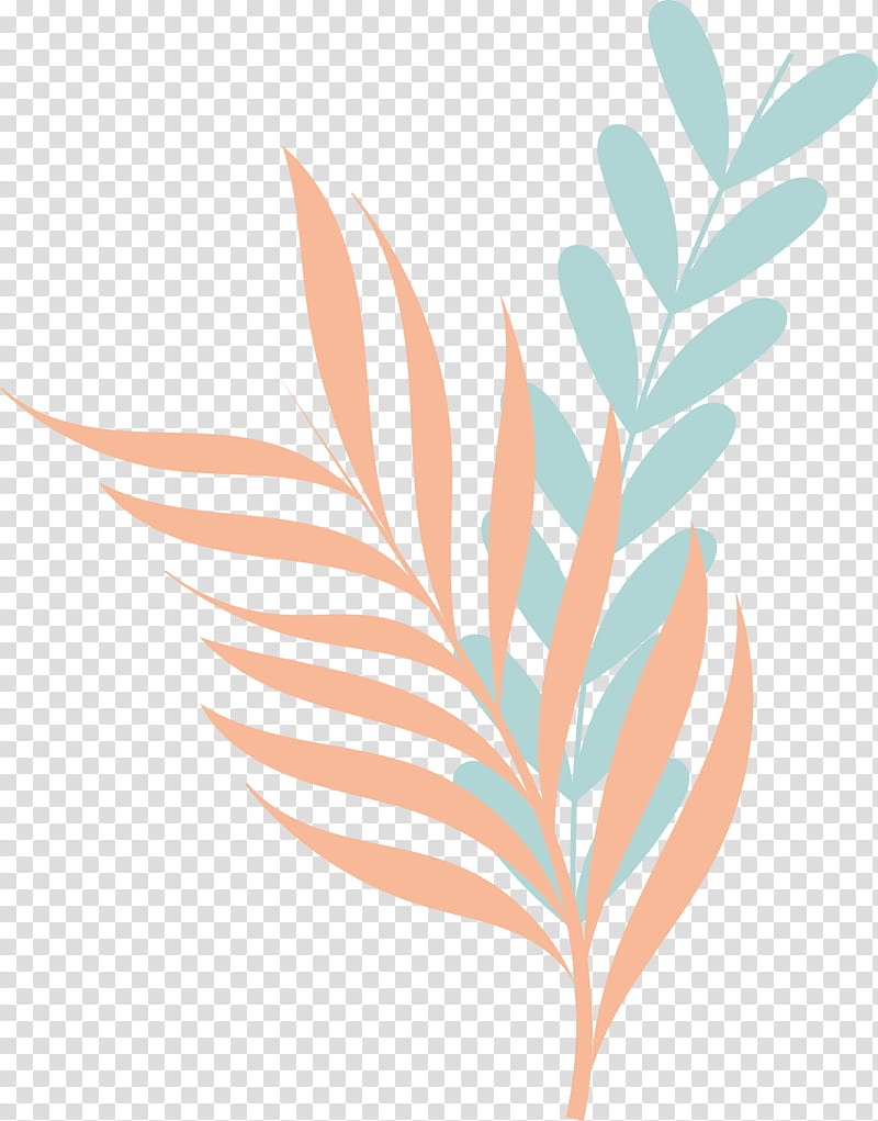 plant stem branch leaf flower line, Meter, Plants, Biology, Science, Plant Structure transparent background PNG clipart