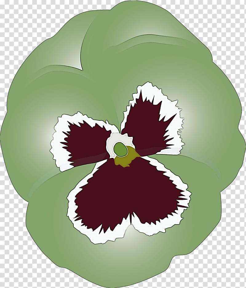PANSY Spring Flower, Leaf, Plant, Violet Family, Petal, Cattleya, Iris, VIOLA transparent background PNG clipart