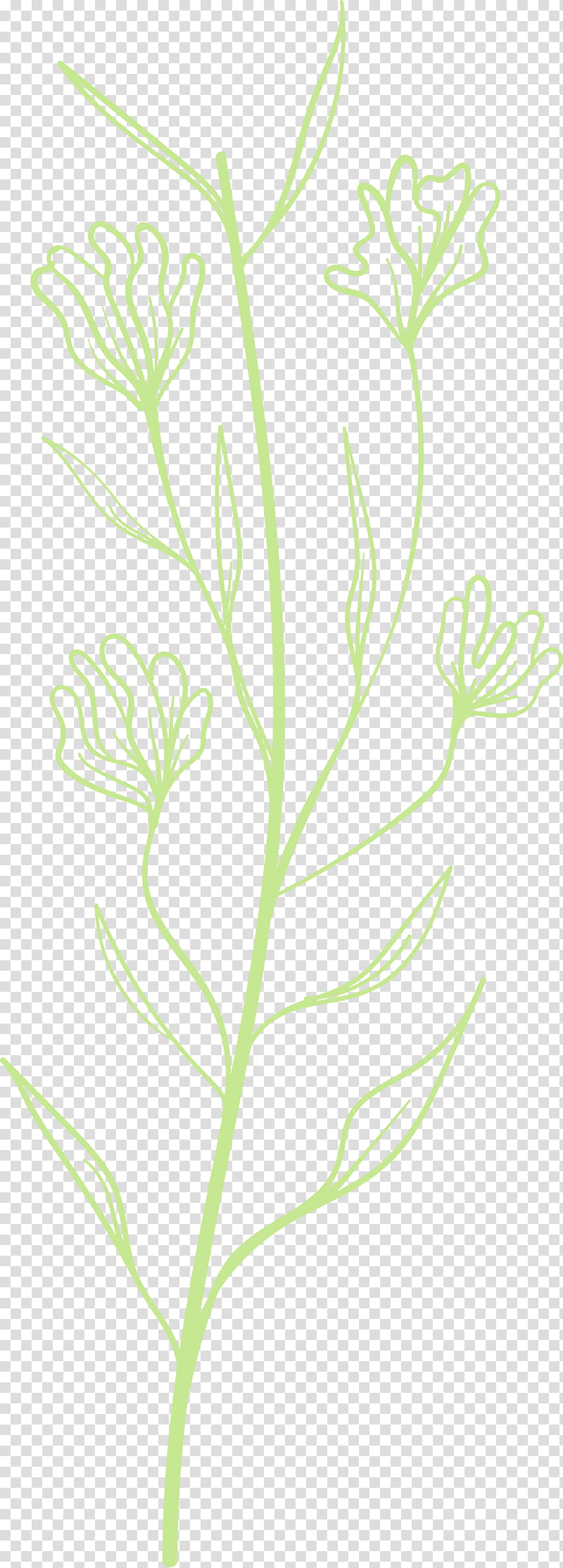 simple leaf simple leaf drawing simple leaf outline, Twig, Plant Stem, Herbaceous Plant, Petal, Leaf Vegetable, Grasses, Paperplant transparent background PNG clipart