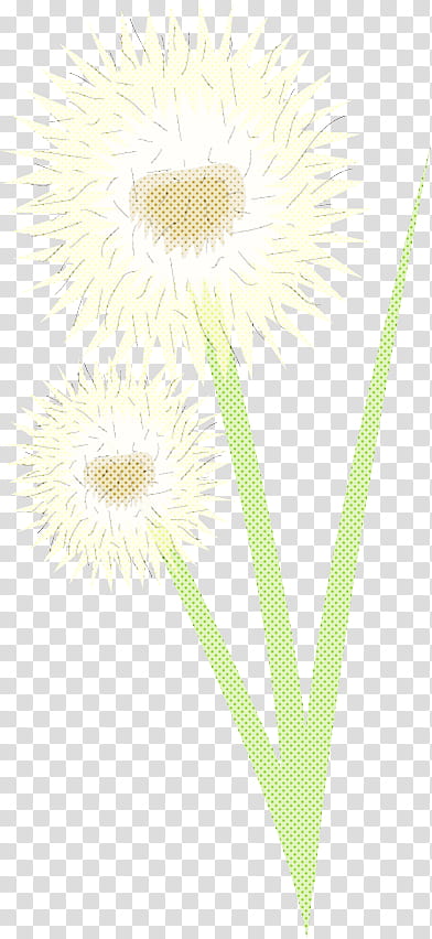 yellow flower plant dandelion dandelion, Camomile, Gerbera, Daisy Family, Wildflower transparent background PNG clipart