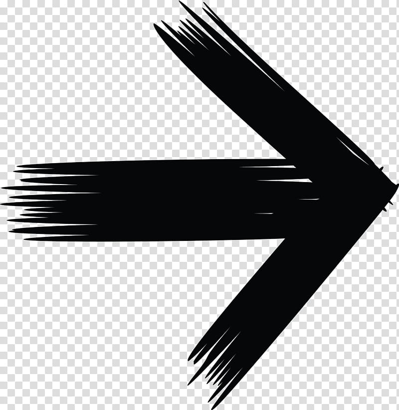 Brush Arrow, Line, Logo, Blackandwhite, Eyelash transparent background PNG clipart