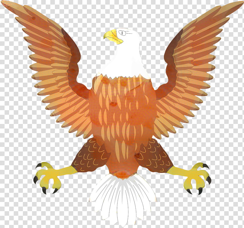 Bird Logo, Bald Eagle, United States, Bird Of Prey, Beak, Northern Crested Caracara, Accipitridae, Golden Eagle transparent background PNG clipart